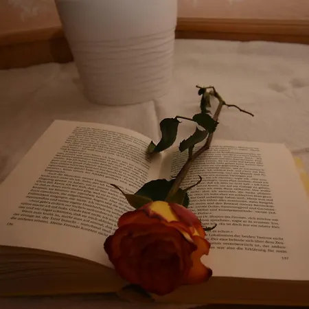 Waldesruh Appartement